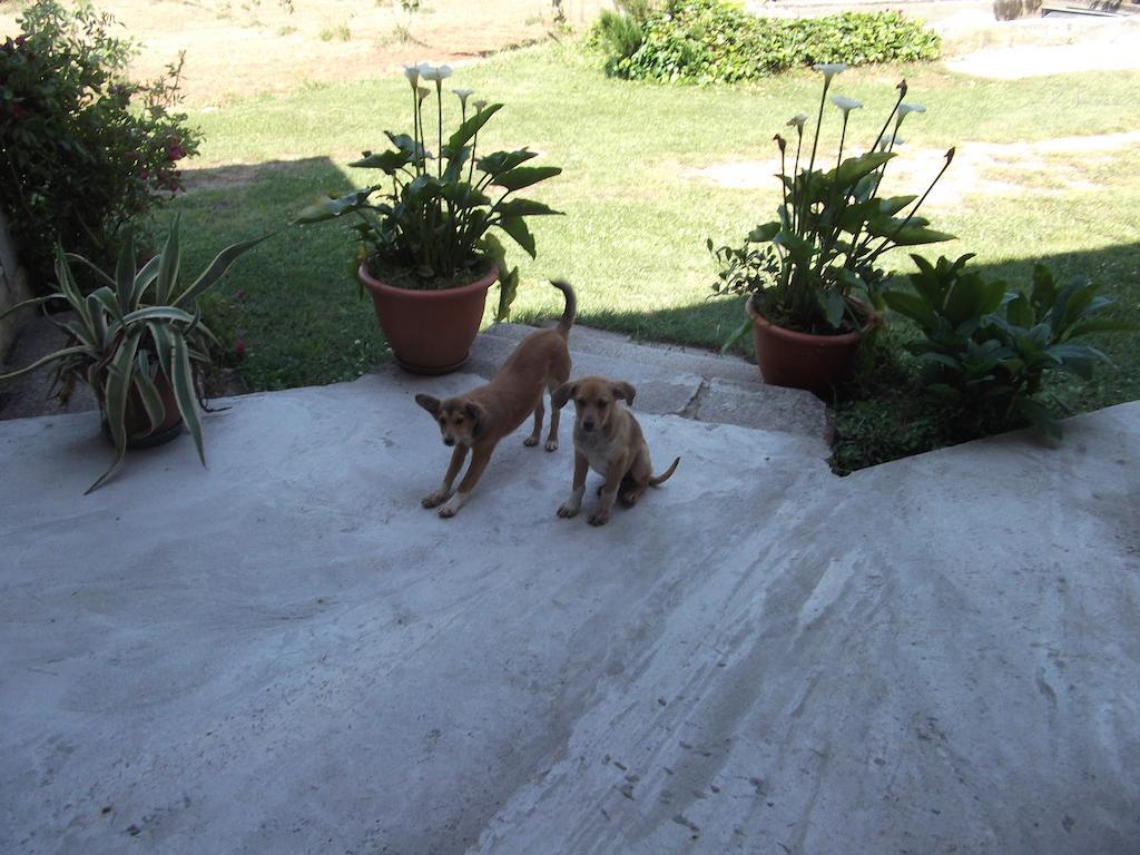 B&B Misatere Vallelonga Ngoại thất bức ảnh